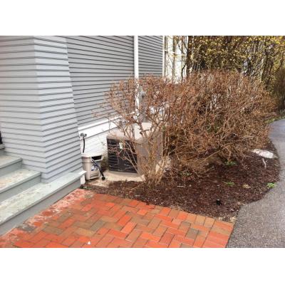 Diesel Generator Wet Stacking3 After